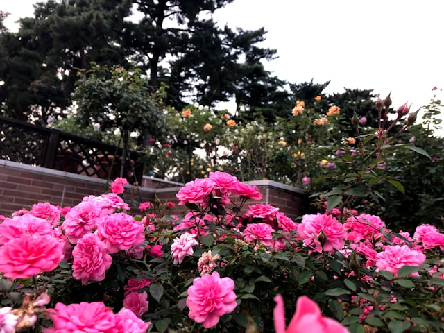 August