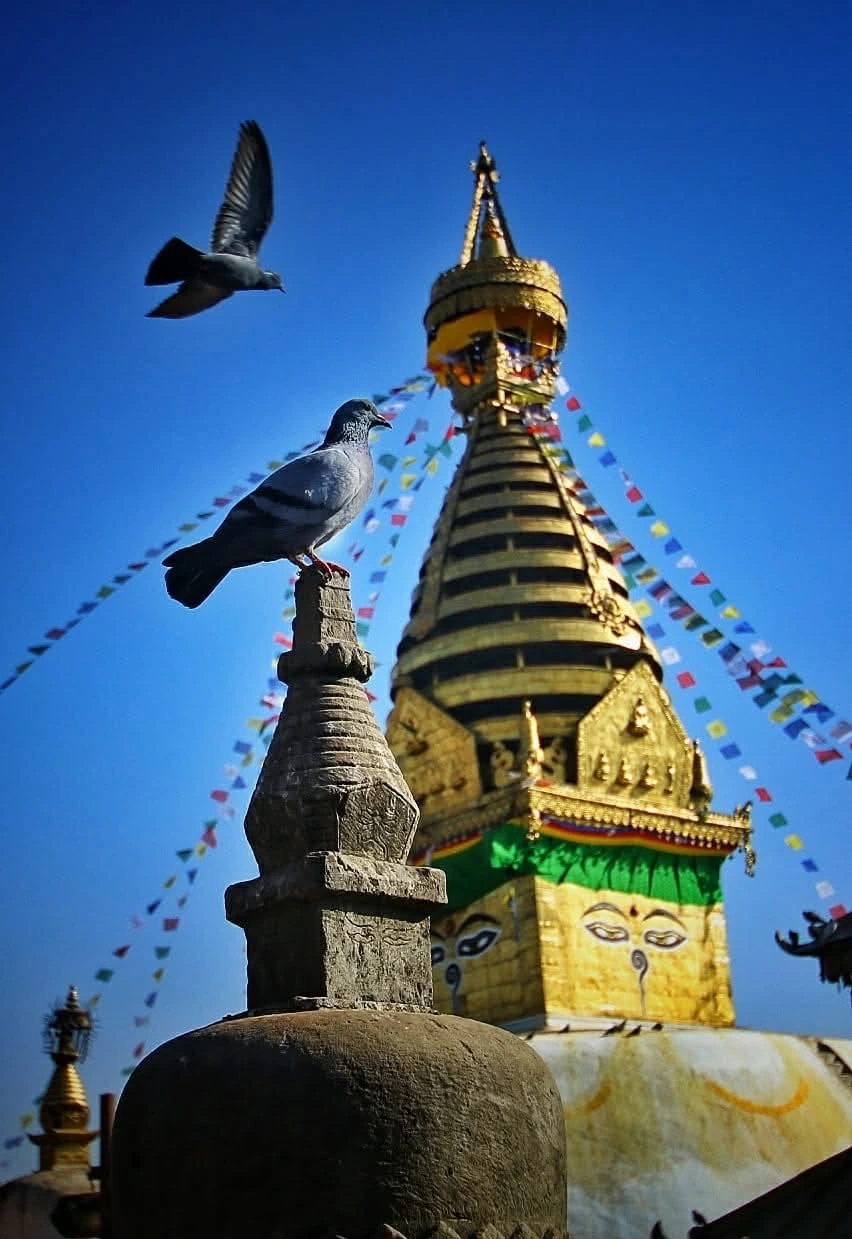 Nepal