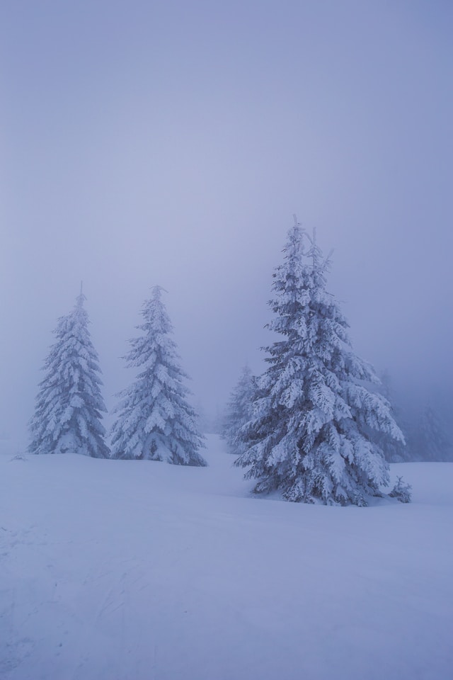 November
