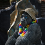 Kwita Izina - Gorilla Naming Festival