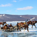 Reindeer Festival (Tsaatan Festival)