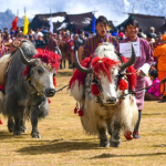 Royal Highland Festival