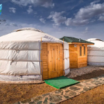 Wander Trails and Tent Tales