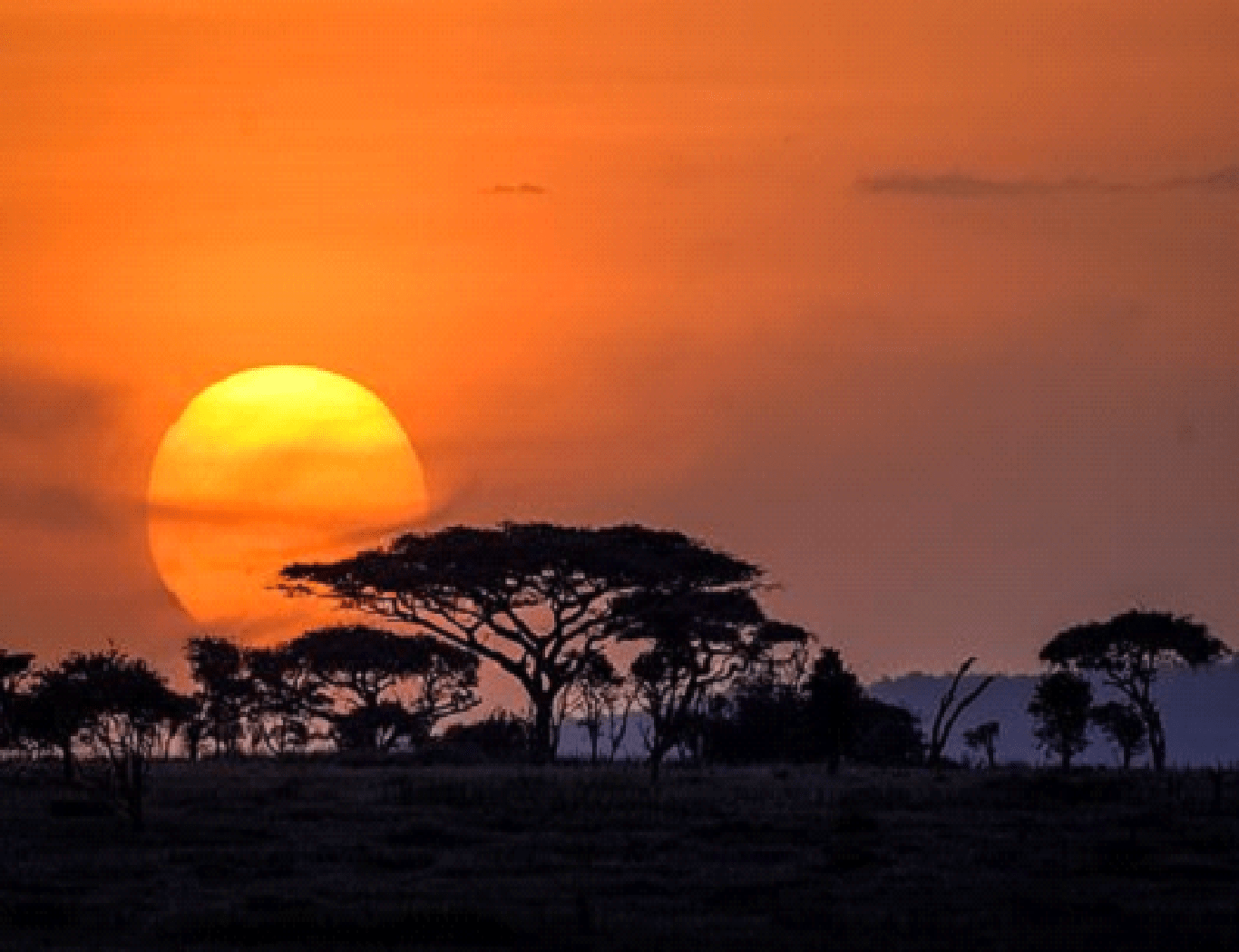 Tanzania15 Min