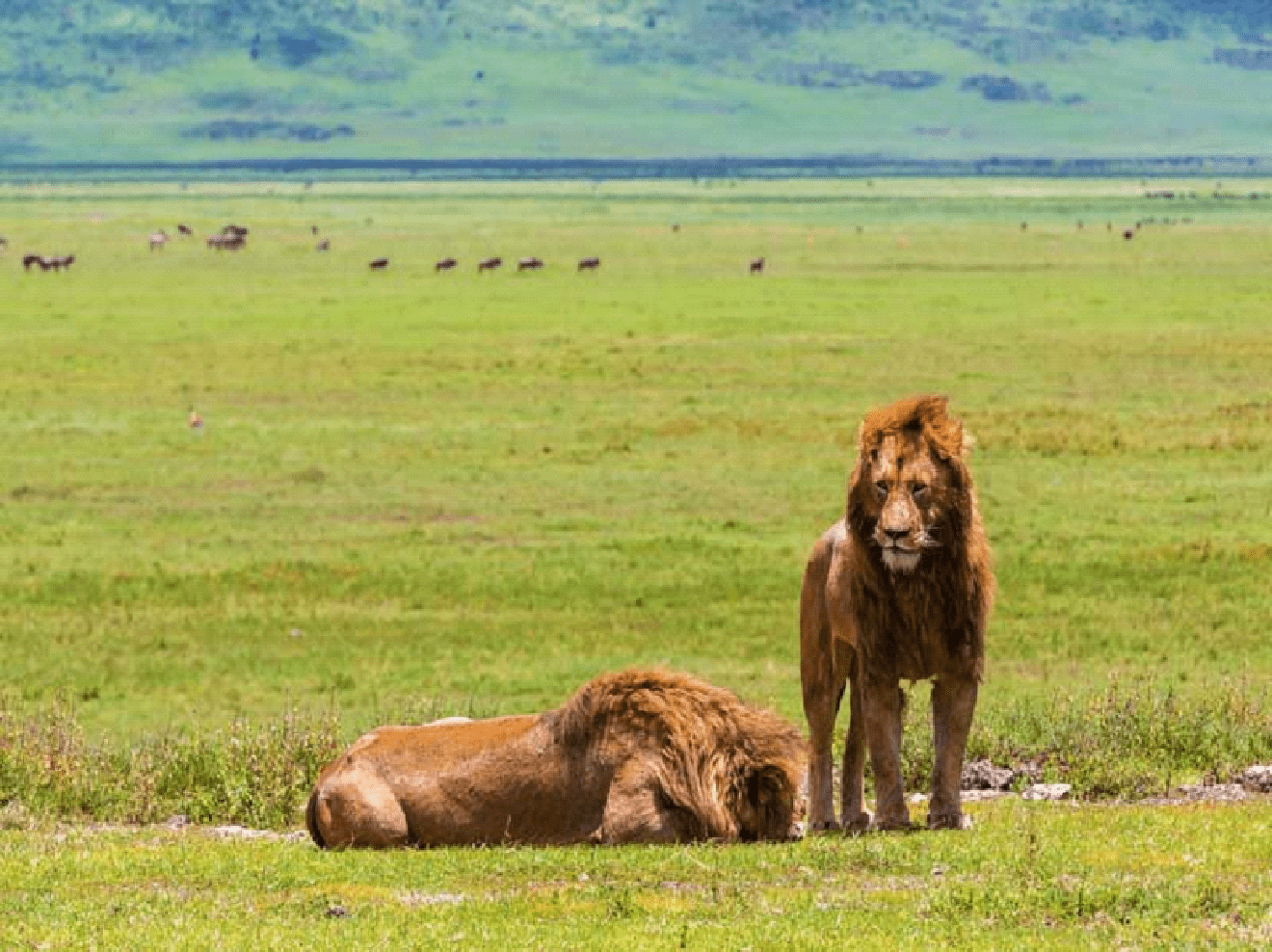 Tanzania24 Min