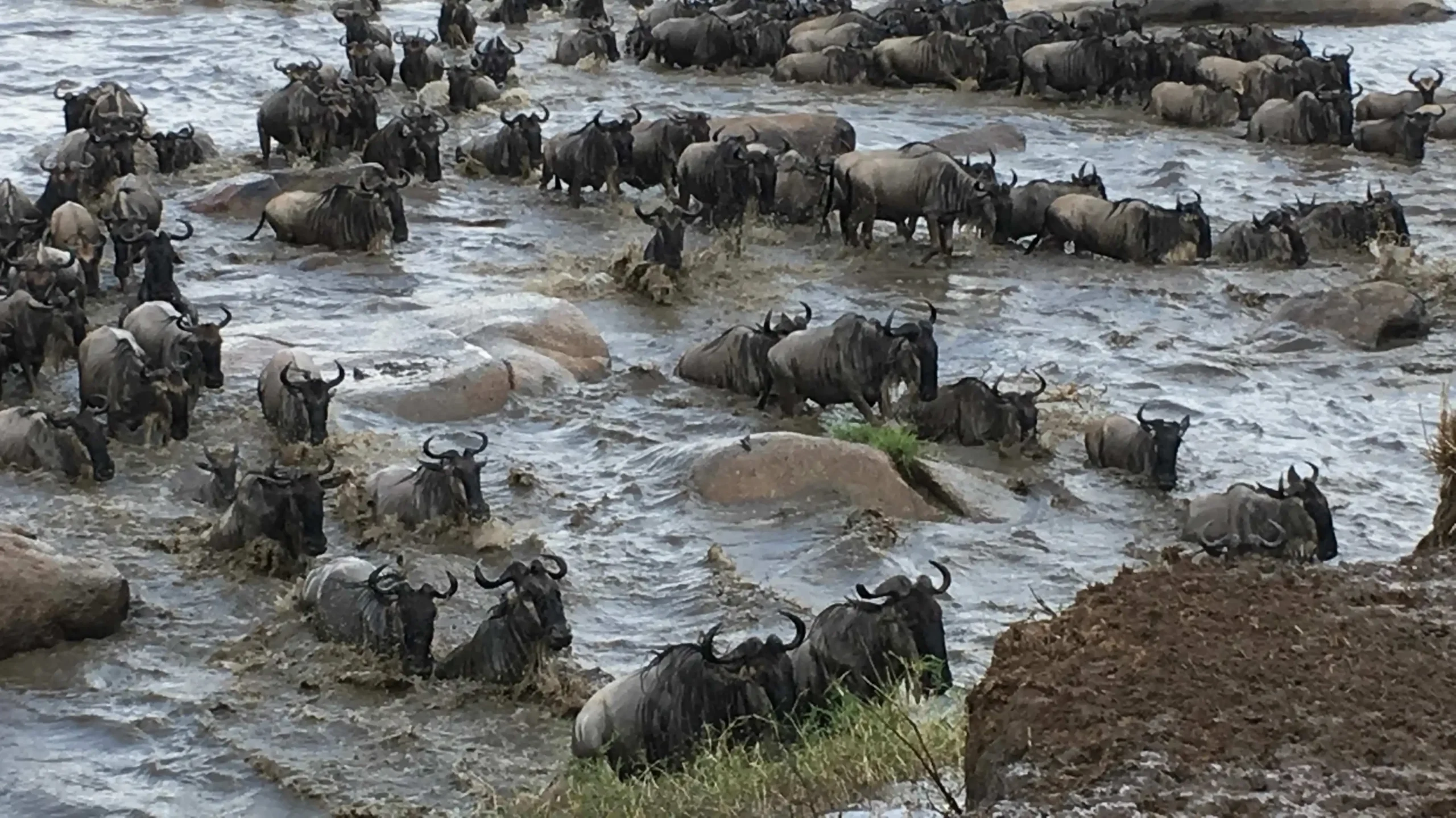 Tanzania 8 Day Luxury Family Trip